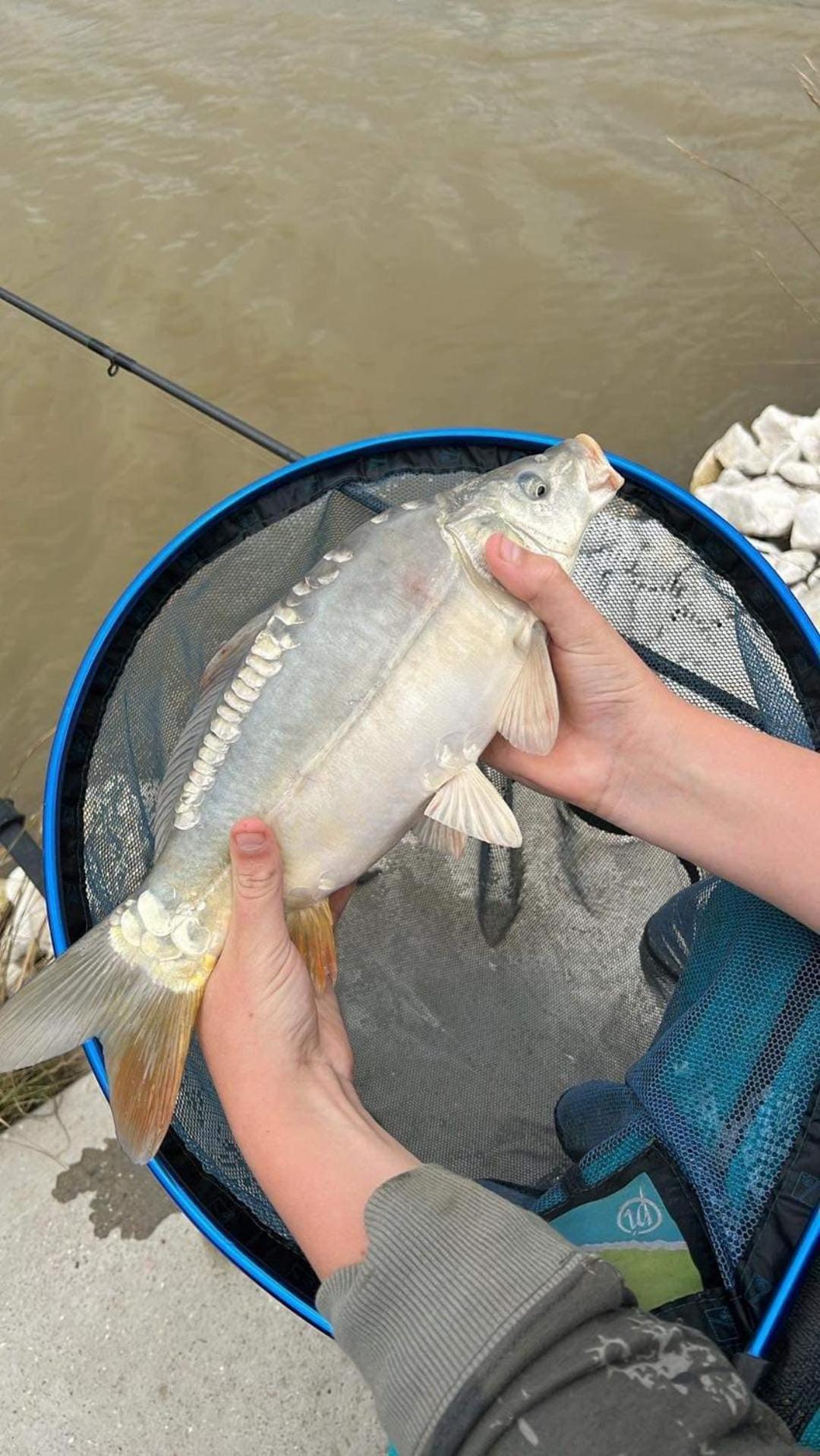 Lakeside Fishing Retreats ボストン 部屋 写真