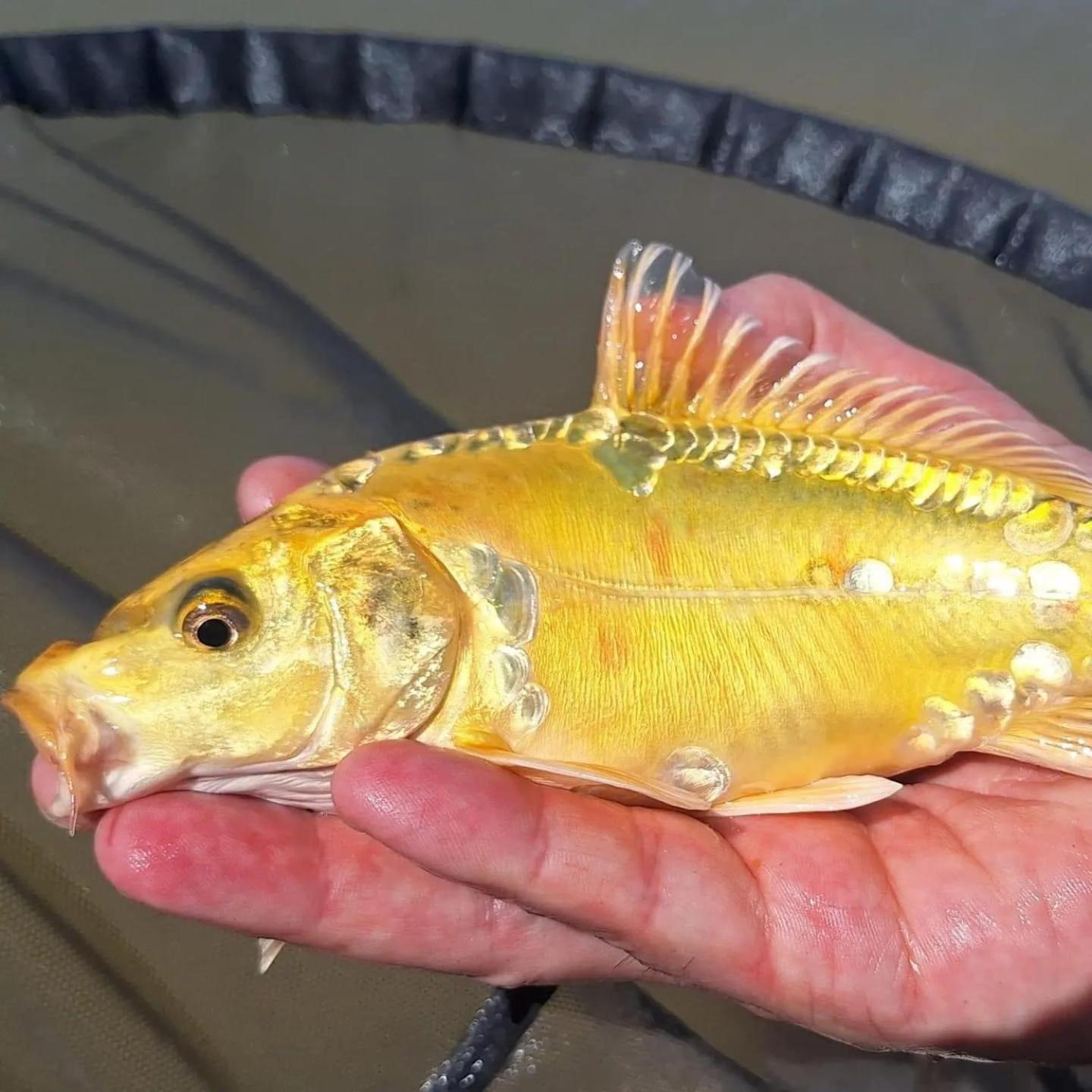 Lakeside Fishing Retreats ボストン 部屋 写真