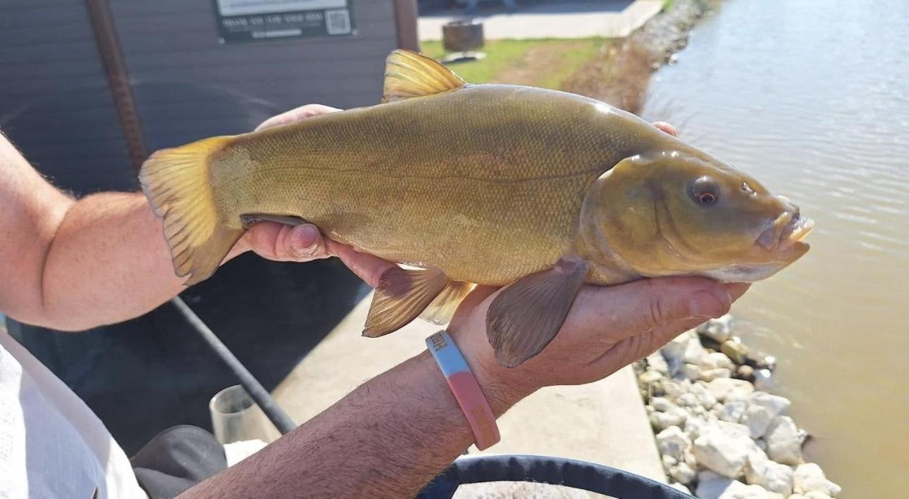 Lakeside Fishing Retreats ボストン 部屋 写真