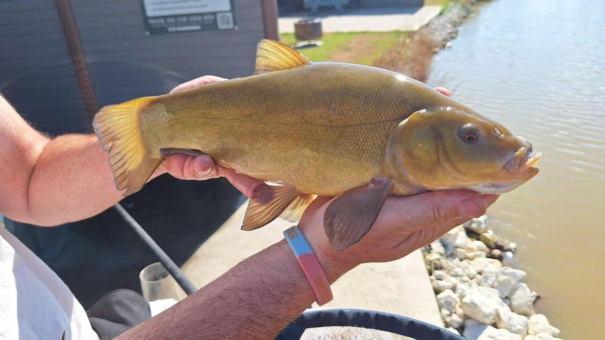 Lakeside Fishing Retreats ボストン 部屋 写真