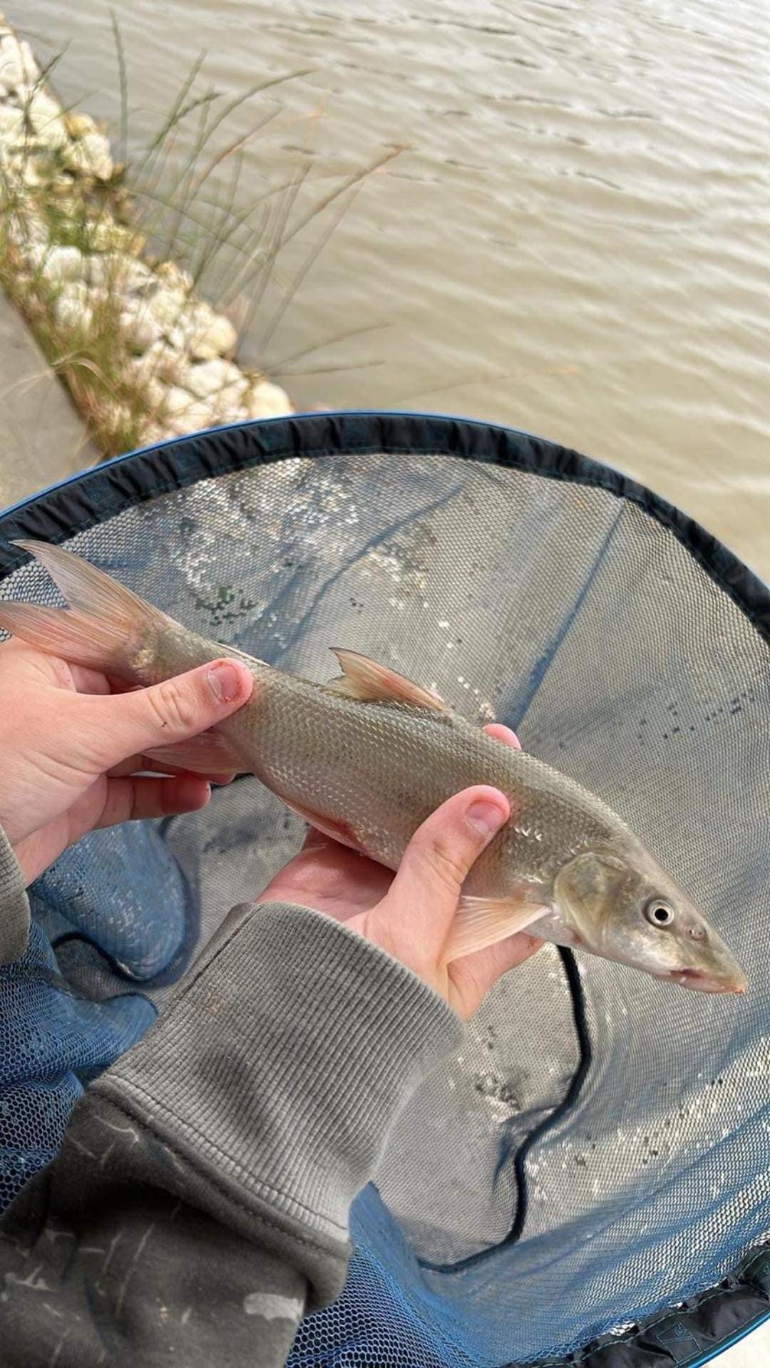 Lakeside Fishing Retreats ボストン 部屋 写真