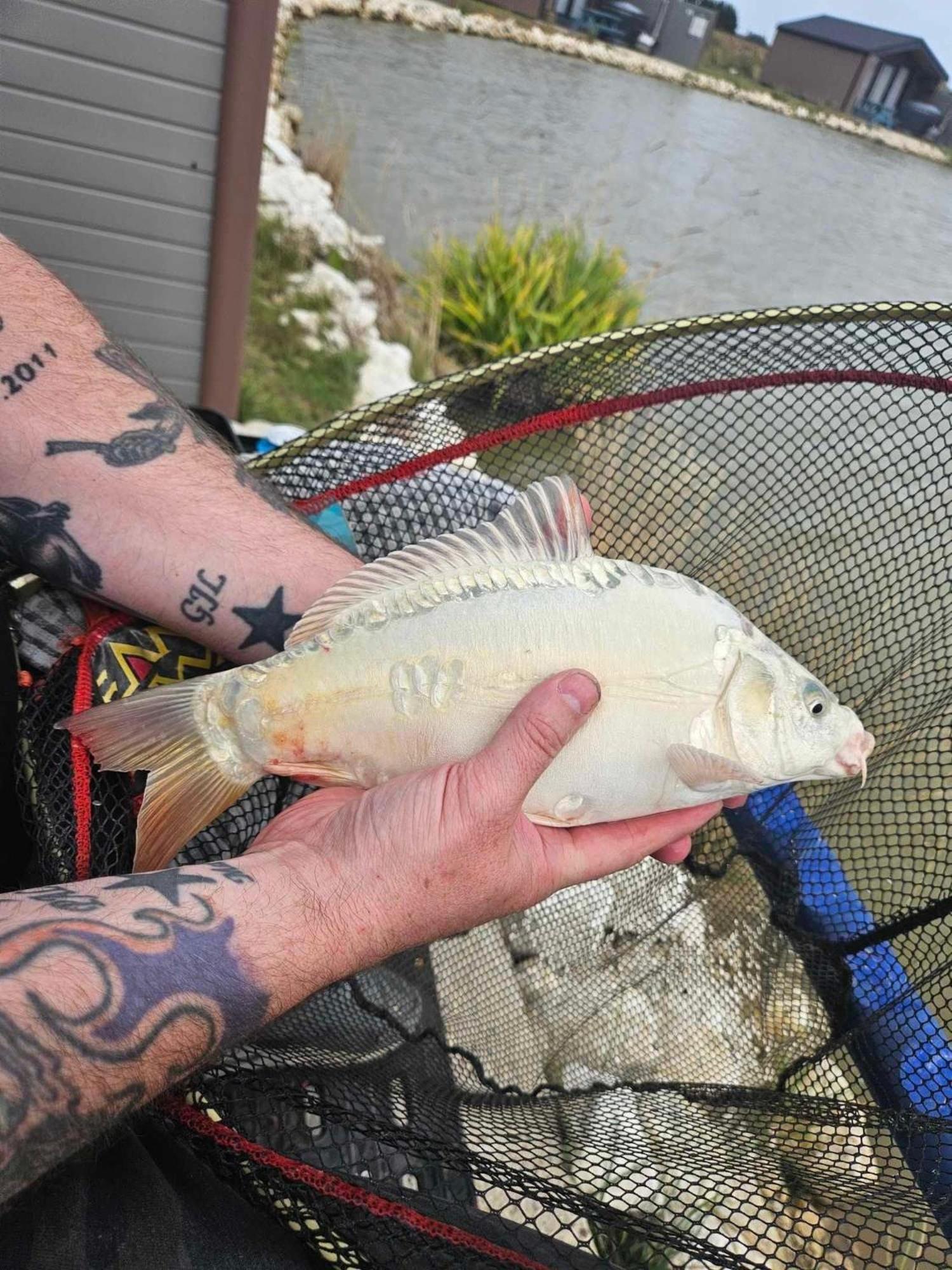 Lakeside Fishing Retreats ボストン 部屋 写真