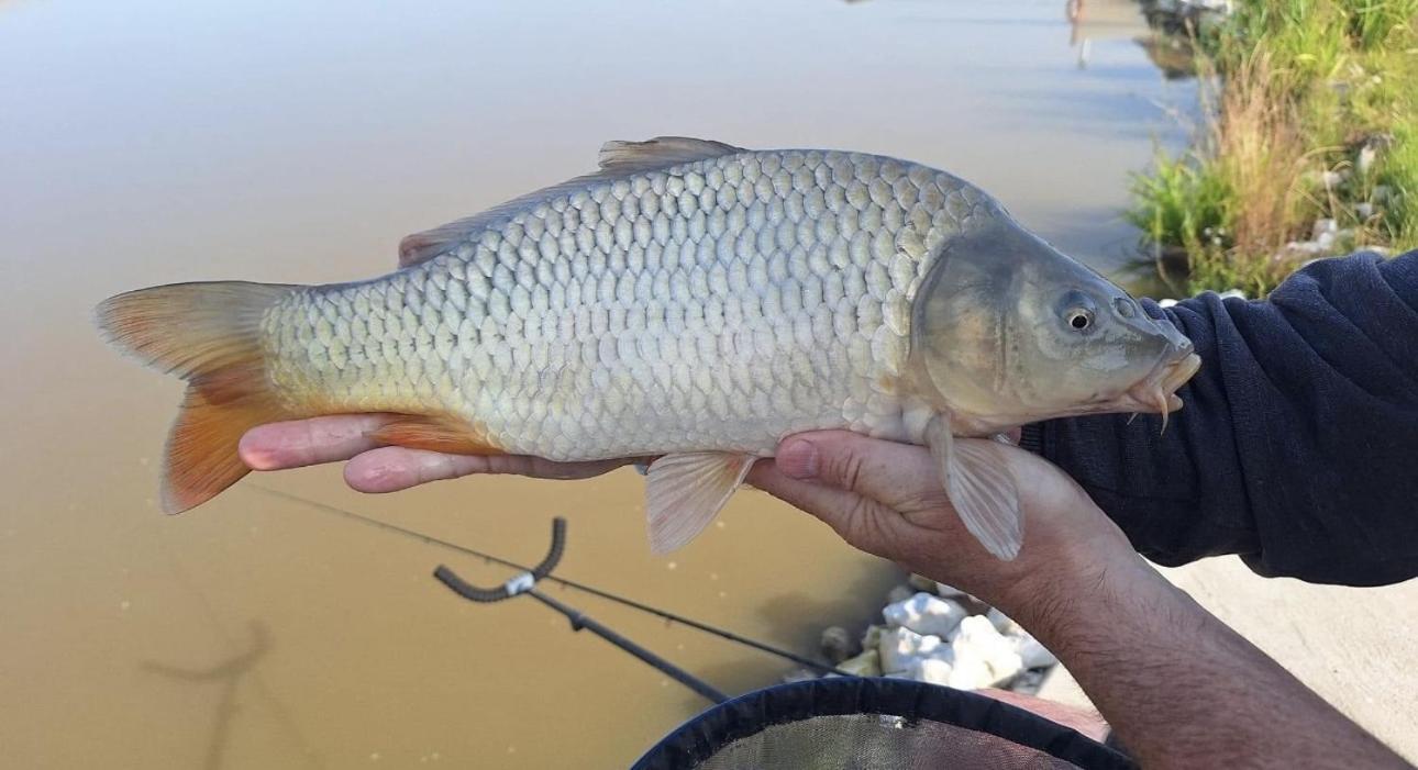 Lakeside Fishing Retreats ボストン 部屋 写真