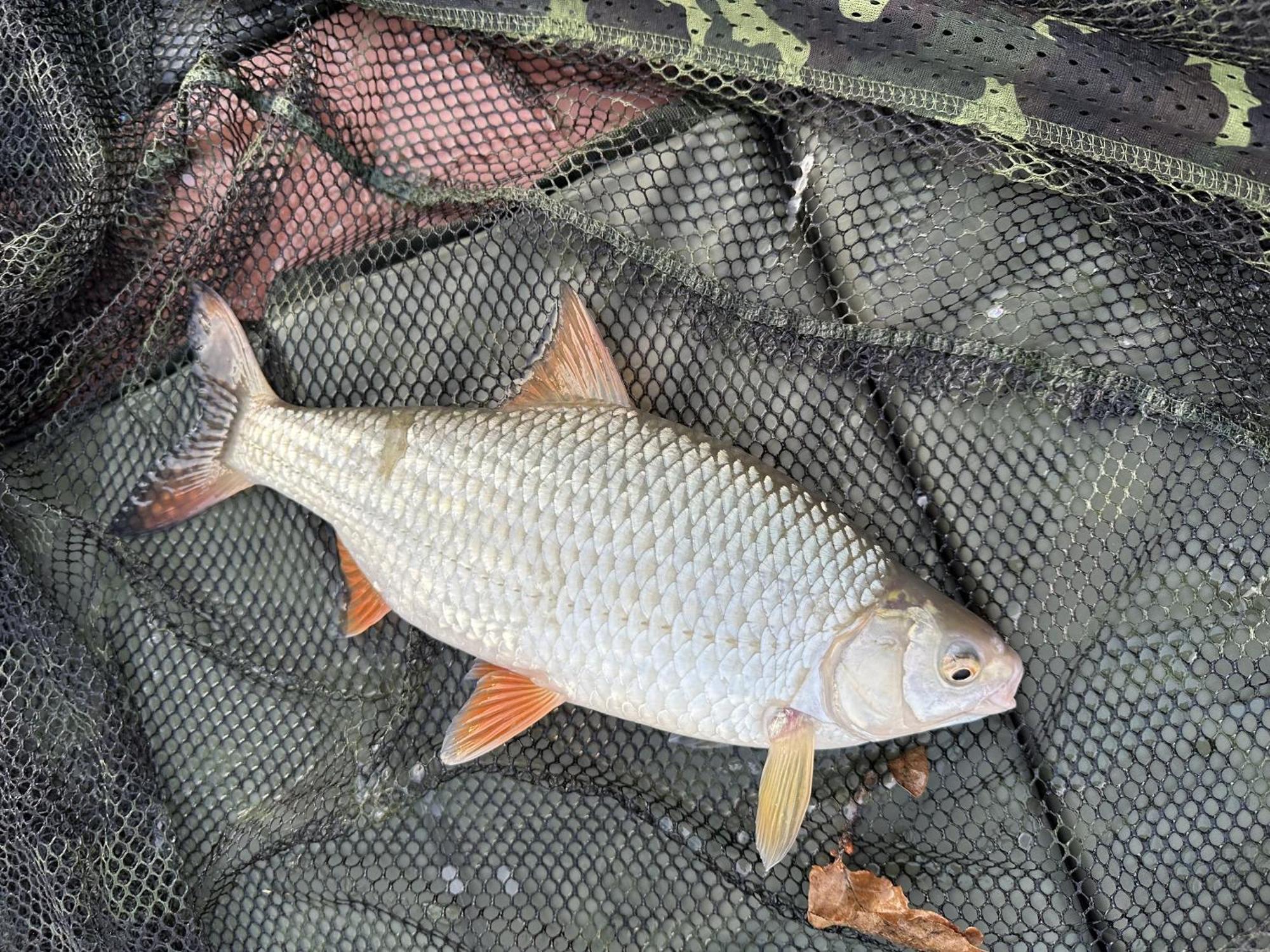 Lakeside Fishing Retreats ボストン 部屋 写真